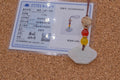 Certified Grade A Jadeite Jade Yi Fan Feng Shun Sailboat Lock Amulet Pendant